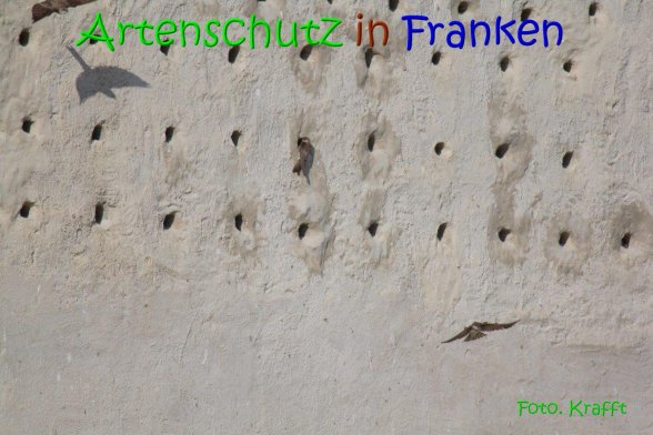 Bild zum Eintrag (69443-160)