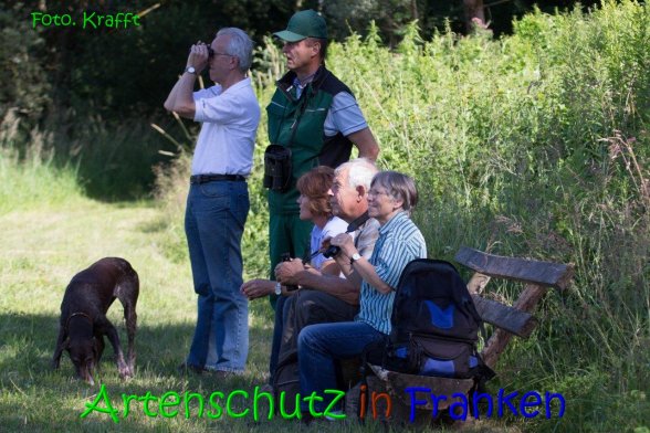 Bild zum Eintrag (69444-160)