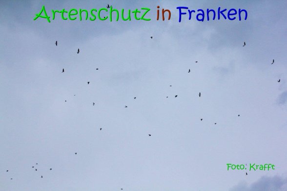 Copyright AiS Clemens Krafft Bild zum Eintrag (69445-160)