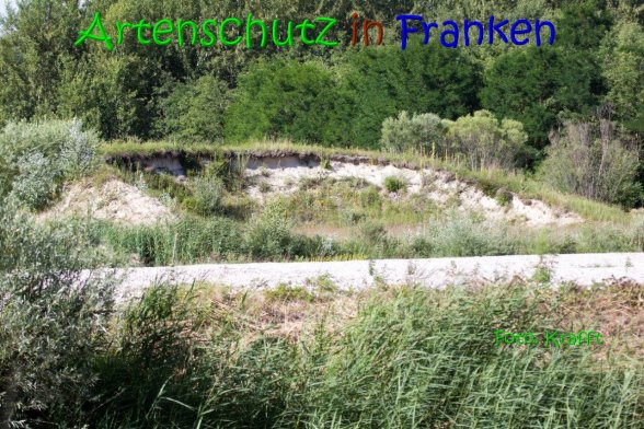 Copyright AiS Clemens Krafft Bild zum Eintrag (69446-160)
