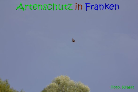 Copyright AiS Clemens Krafft Bild zum Eintrag (69448-160)