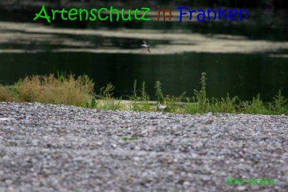 Copyright AiS Clemens Krafft Bild zum Eintrag (69449-160)