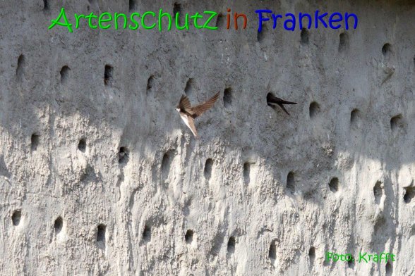 Copyright AiS Clemens Krafft Bild zum Eintrag (69450-160)