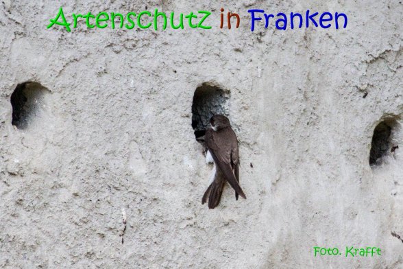 Copyright AiS Clemens Krafft Bild zum Eintrag (69452-160)