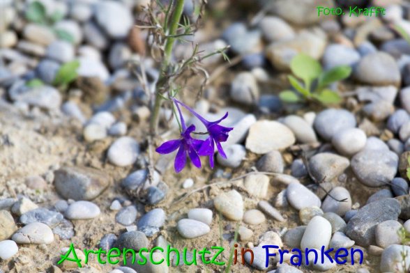 Copyright AiS Clemens Krafft Bild zum Eintrag (69453-160)
