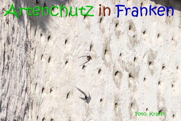 Copyright AiS Clemens Krafft Bild zum Eintrag (69454-160)