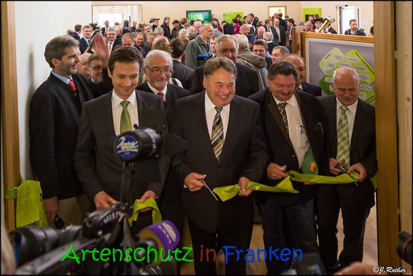 Copyright AiS Johannes Rother Bild zum Eintrag (69503-160)