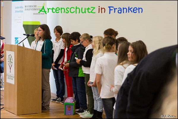 Copyright AiS Johannes Rother Bild zum Eintrag (69505-160)