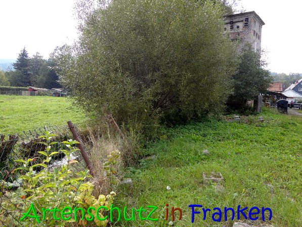 Bild zum Eintrag (69554-160)