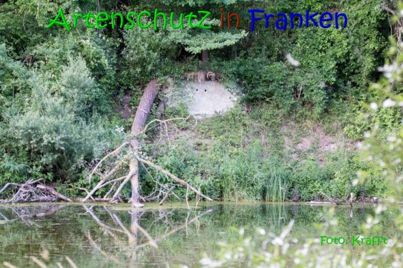 Copyright AiS Clemens Krafft Bild zum Eintrag (69570-160)