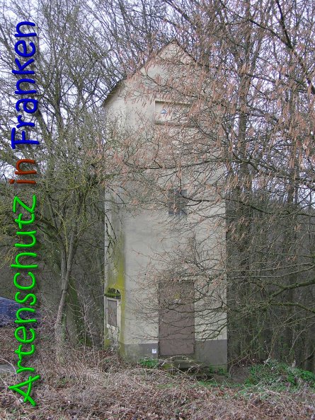 Copyright AiS Gerhard Kunze Bild zum Eintrag (69675-160)