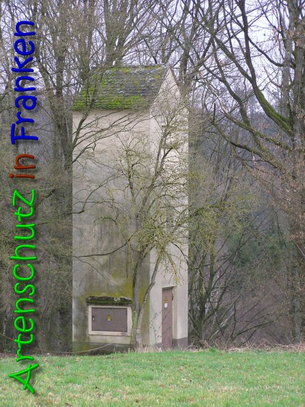 Copyright AiS Gerhard Kunze Bild zum Eintrag (69678-160)