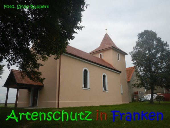 Copyright AiS Ruppert Bild zum Eintrag (69764-160)
