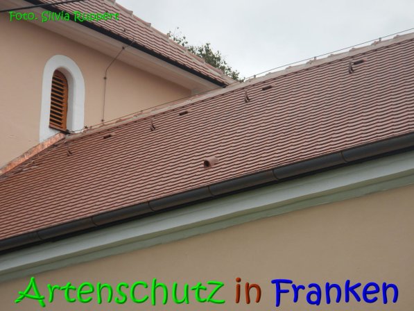 Copyright AiS Ruppert Bild zum Eintrag (69765-160)