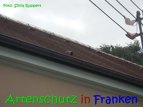 Copyright AiS Ruppert Bild zum Eintrag (69767-160)