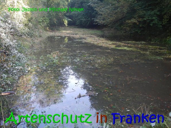 Copyright AiS Jasmin und Michael Novak Bild zum Eintrag (69834-160)
