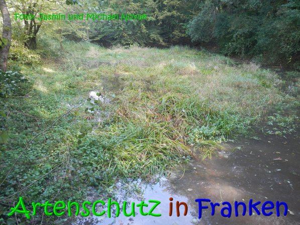 Copyright AiS Jasmin und Michael Novak Bild zum Eintrag (69838-160)