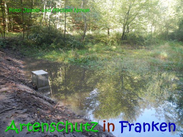 Copyright AiS Jasmin und Michael Novak Bild zum Eintrag (69839-160)