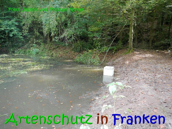 Copyright AiS Jasmin und Michael Novak Bild zum Eintrag (69840-160)