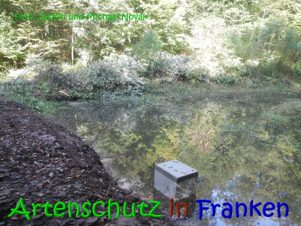 Copyright AiS Jasmin und Michael Novak Bild zum Eintrag (69842-160)