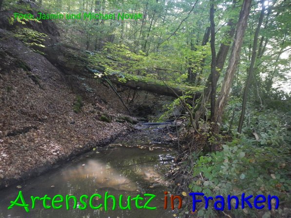 Copyright AiS Jasmin und Michael Novak Bild zum Eintrag (69843-160)