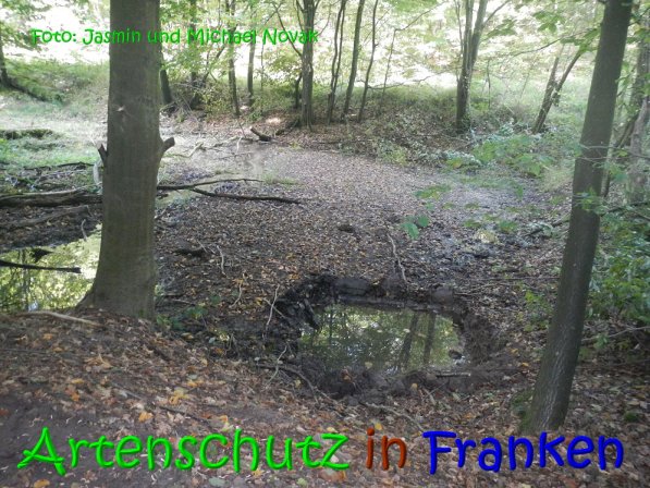 Copyright AiS Jasmin und Michael Novak Bild zum Eintrag (69845-160)