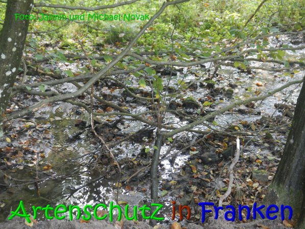 Copyright AiS Jasmin und Michael Novak Bild zum Eintrag (69846-160)
