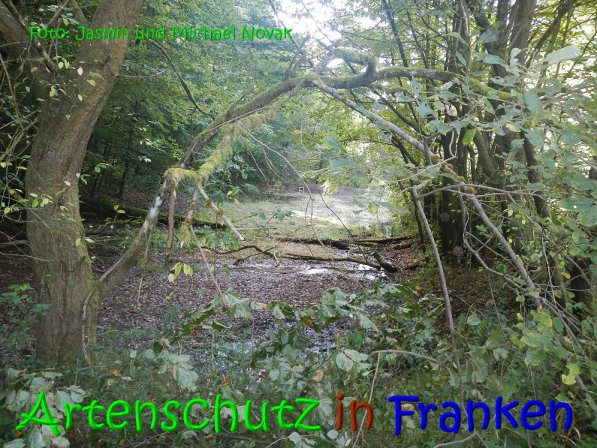 Copyright AiS Jasmin und Michael Novak Bild zum Eintrag (69847-160)