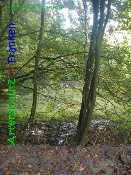 Copyright AiS Jasmin und Michael Novak Bild zum Eintrag (69848-160)