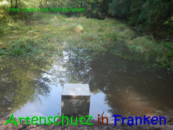 Copyright AiS Jasmin und Michael Novak Bild zum Eintrag (69852-160)