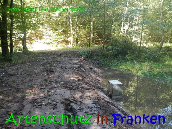 Copyright AiS Jasmin und Michael Novak Bild zum Eintrag (69853-160)