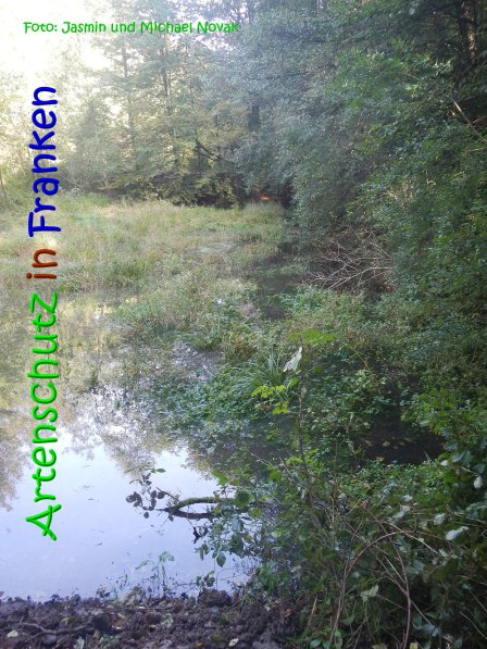 Copyright AiS Jasmin und Michael Novak Bild zum Eintrag (69854-160)