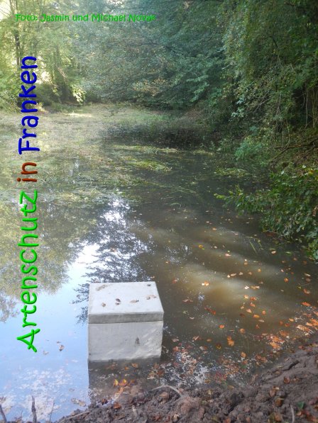 Copyright AiS Jasmin und Michael Novak Bild zum Eintrag (69855-160)
