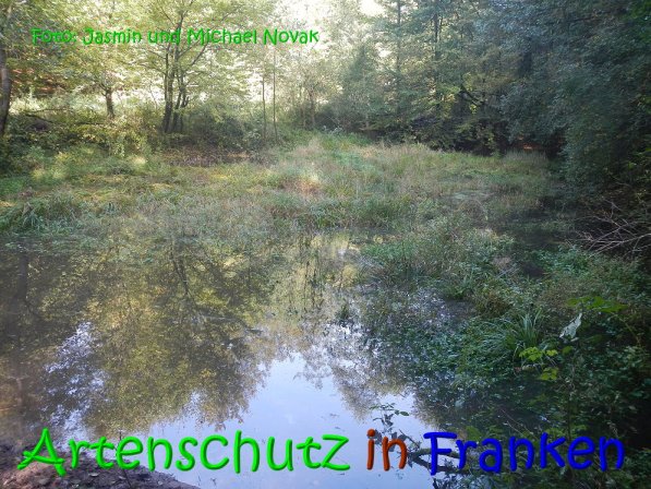 Copyright AiS Jasmin und Michael Novak Bild zum Eintrag (69856-160)