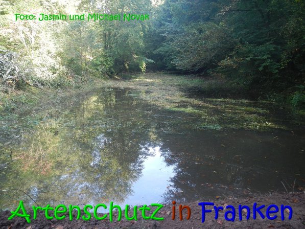 Copyright AiS Jasmin und Michael Novak Bild zum Eintrag (69857-160)