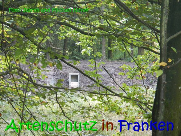 Copyright AiS Jasmin und Michael Novak Bild zum Eintrag (69858-160)