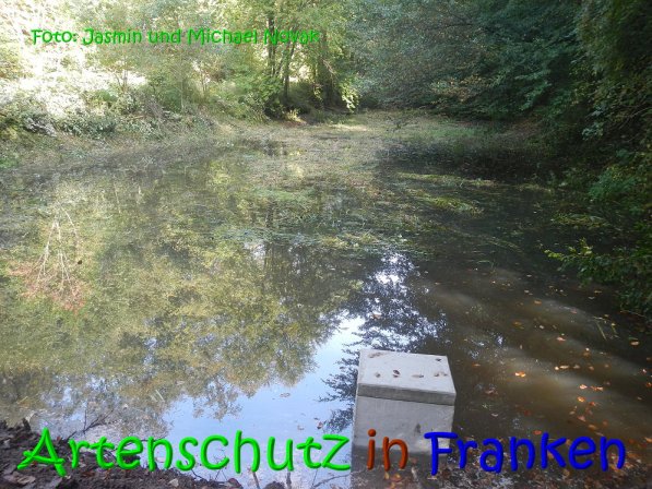 Copyright AiS Jasmin und Michael Novak Bild zum Eintrag (69859-160)