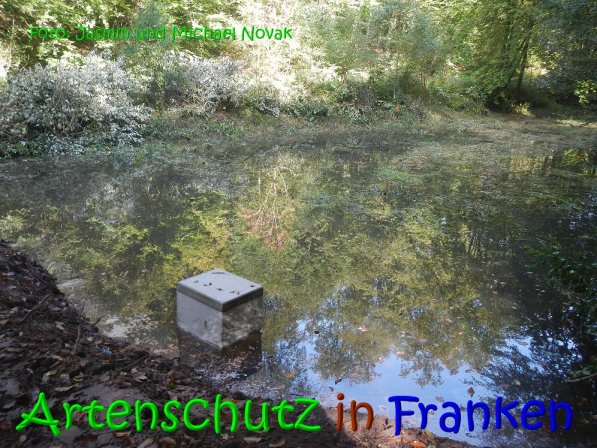 Copyright AiS Jasmin und Michael Novak Bild zum Eintrag (69861-160)
