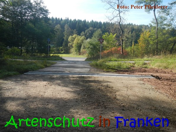 Copyright AiS Peter Pfleiderer Bild zum Eintrag (69863-160)