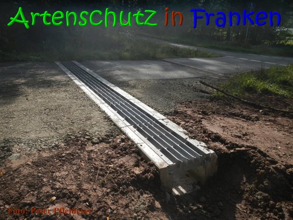 Copyright AiS Peter Pfleiderer Bild zum Eintrag (69864-160)