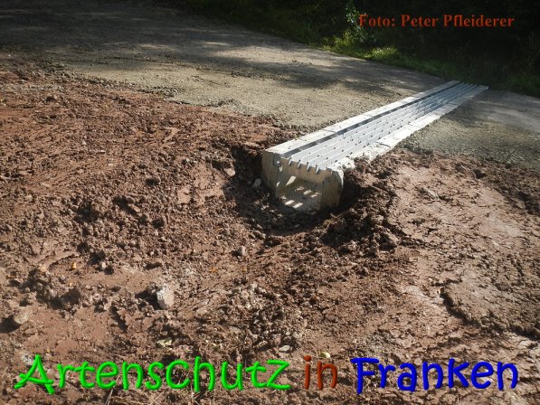 Copyright AiS Peter Pfleiderer Bild zum Eintrag (69866-160)