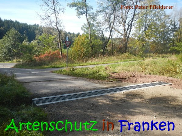 Copyright AiS Peter Pfleiderer Bild zum Eintrag (69868-160)