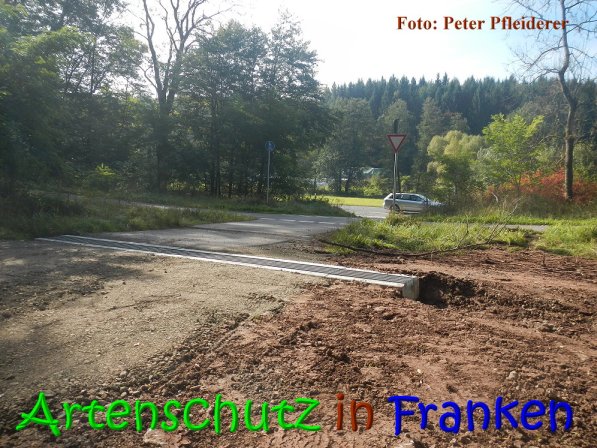Copyright AiS Peter Pfleiderer Bild zum Eintrag (69869-160)