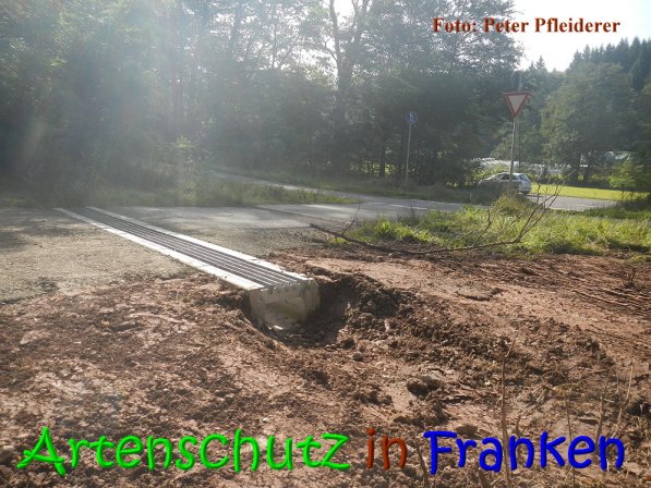 Copyright AiS Peter Pfleiderer Bild zum Eintrag (69871-160)