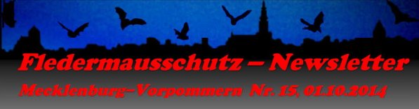 Copyright AiS Fledermausschutz M-V Bild zum Eintrag (69957-160)