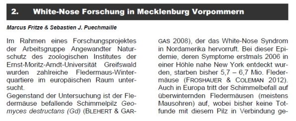 Copyright AiS Fledermausschutz M-V Bild zum Eintrag (69961-160)