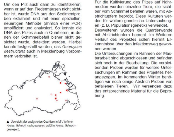 Copyright AiS Fledermausschutz M-V Bild zum Eintrag (69963-160)