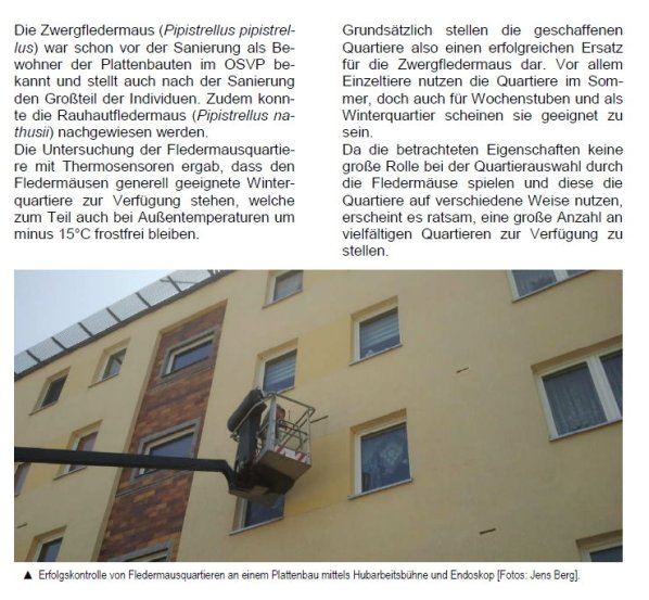 Copyright AiS Fledermausschutz M-V Bild zum Eintrag (69968-160)