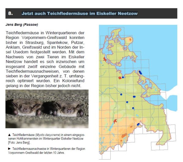 Copyright AiS Fledermausschutz M-V Bild zum Eintrag (69982-160)