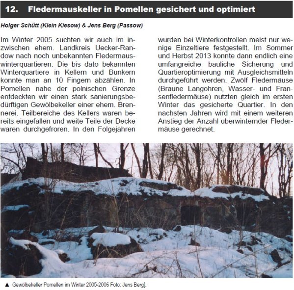 Copyright AiS Fledermausschutz M-V Bild zum Eintrag (69993-160)